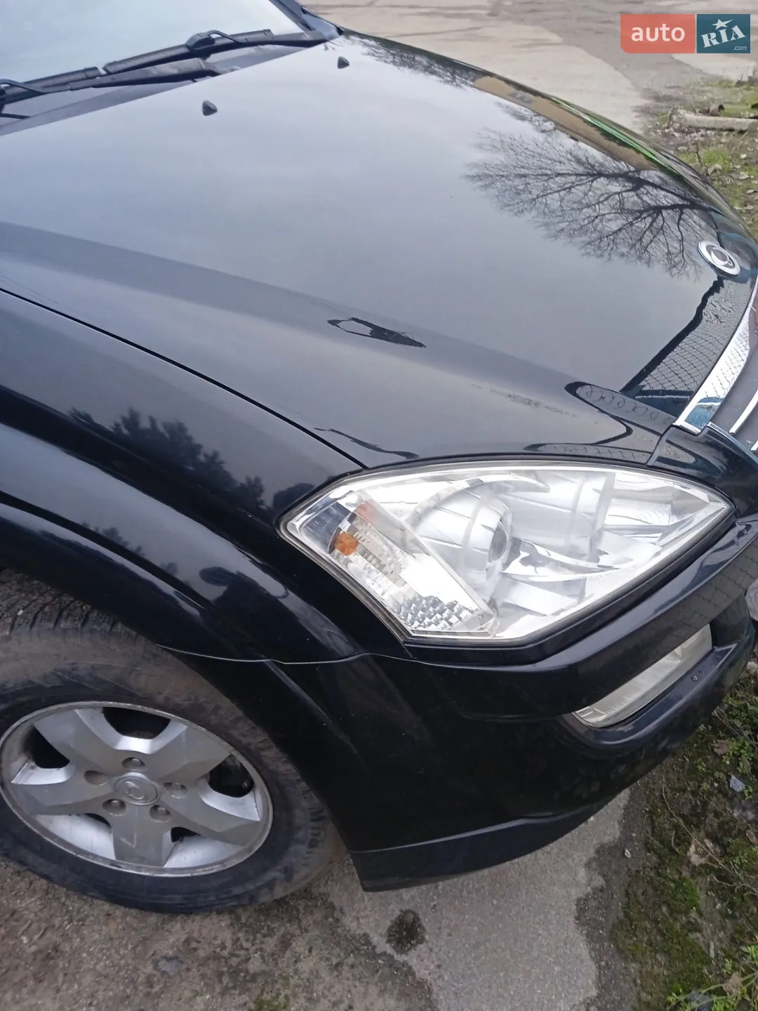 2010 SsangYong Kyron - мініатюра 4
