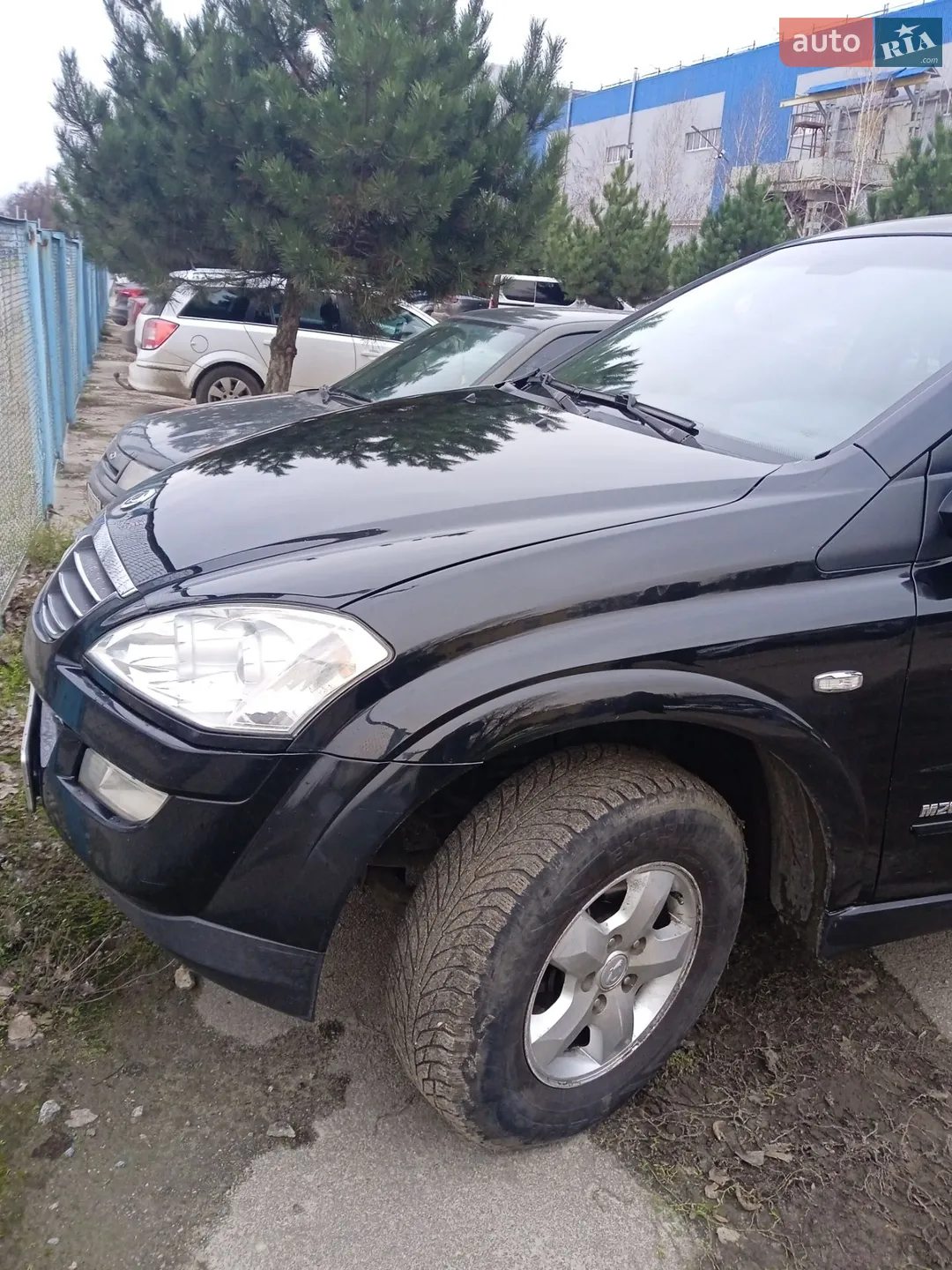 2010 SsangYong Kyron - мініатюра 5