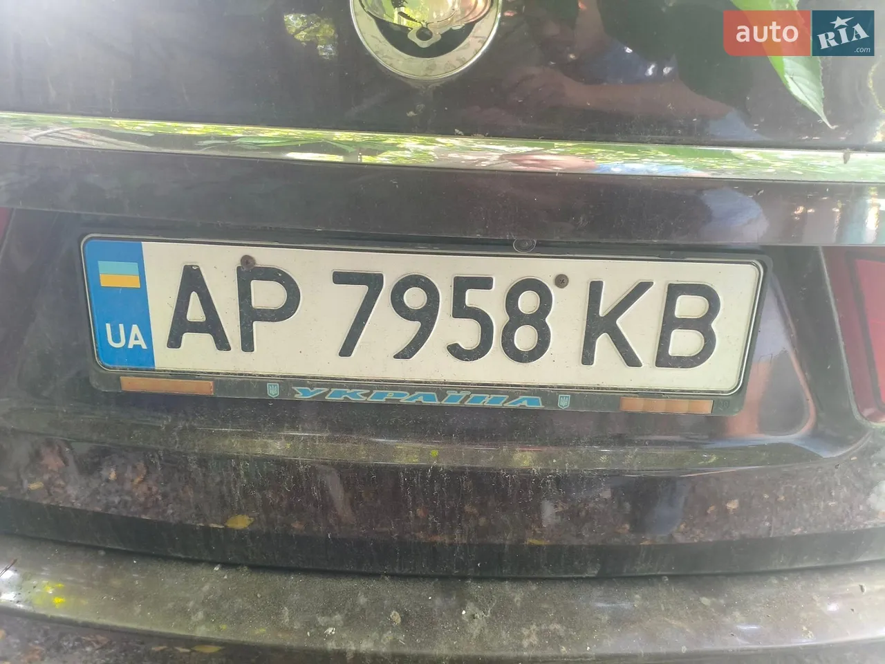 2010 SsangYong Kyron - мініатюра 12