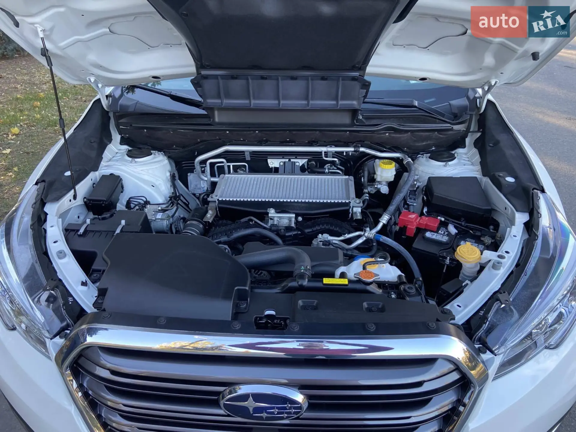 2019 Subaru Ascent - мініатюра 12