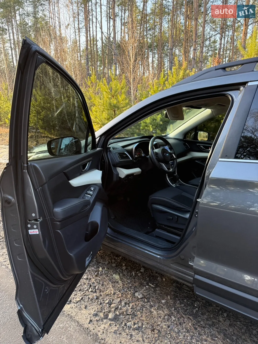 2019 Subaru Ascent - мініатюра 7