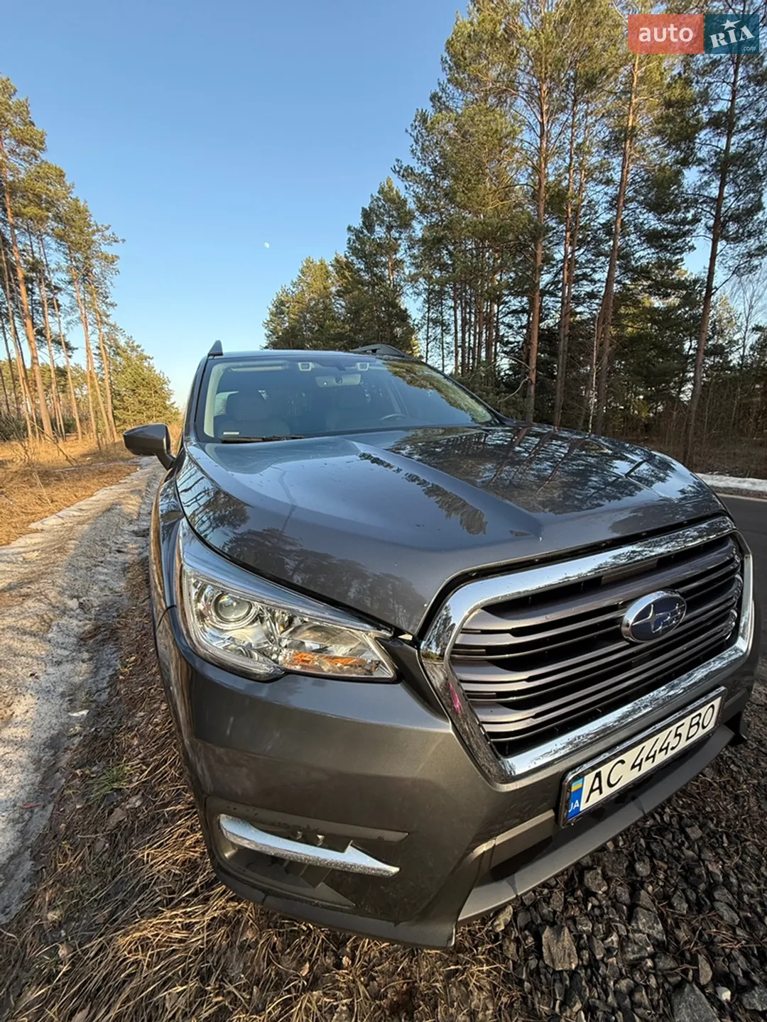 2019 Subaru Ascent - мініатюра 19