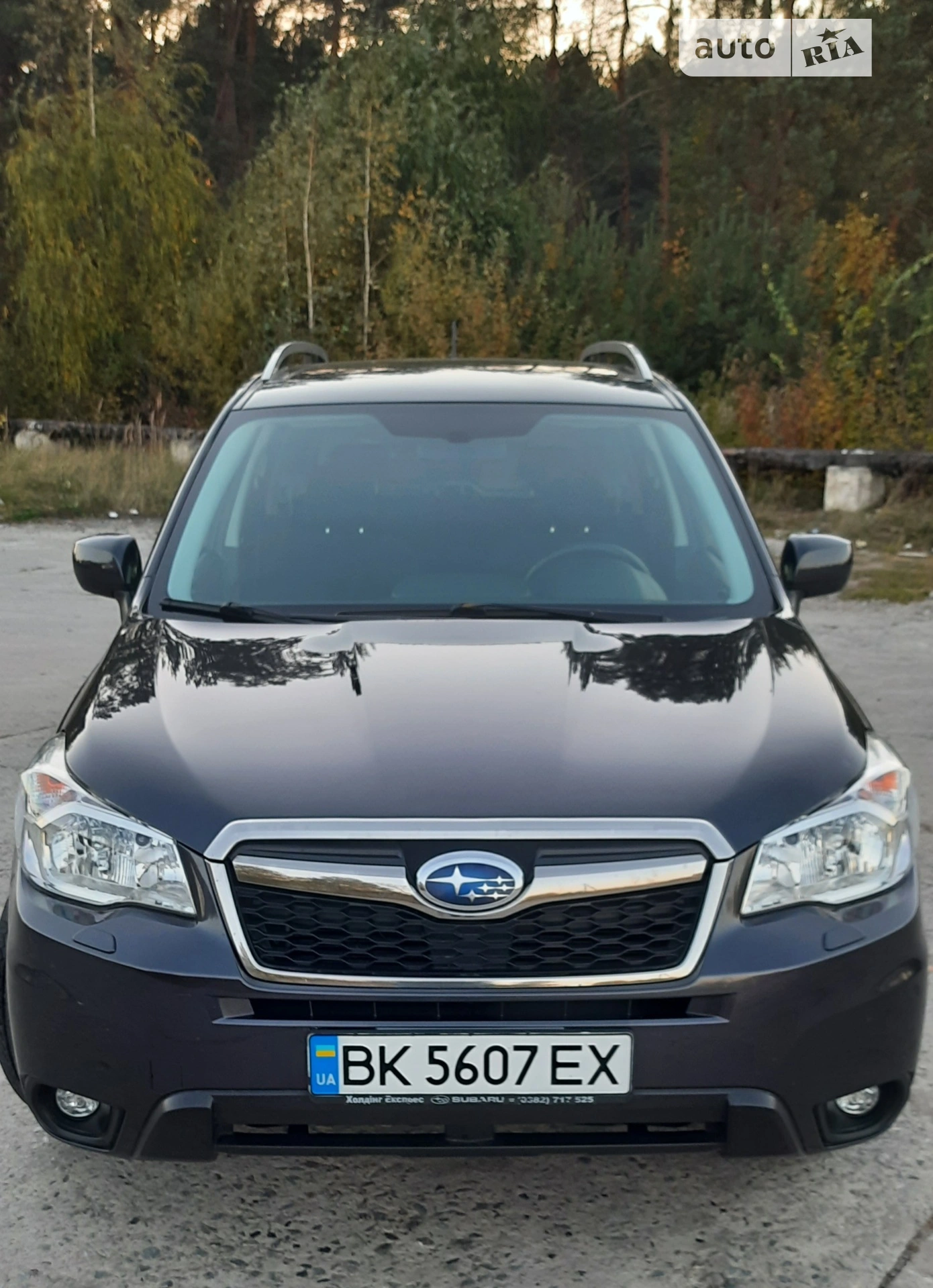 2013 Subaru Forester - мініатюра 2