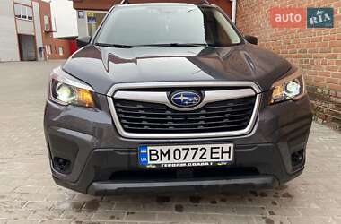 Позашляховик / Кросовер Subaru Forester 2020 в Охтирці