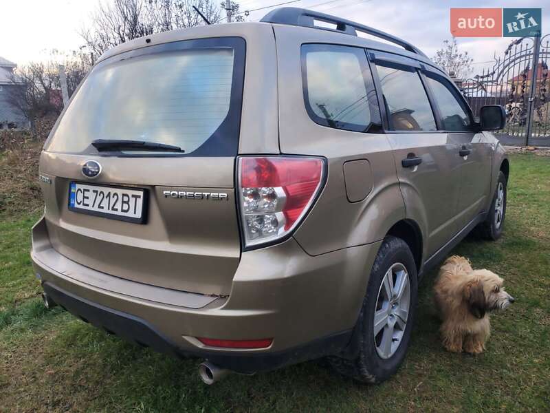 Внедорожник / Кроссовер Subaru Forester 2008 в Черновцах