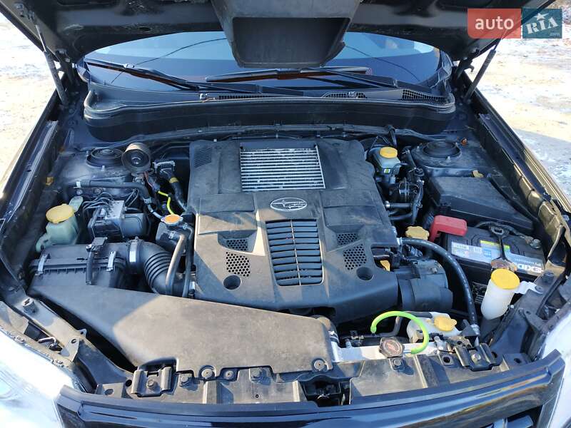 Позашляховик / Кросовер Subaru Forester 2008 в Києві