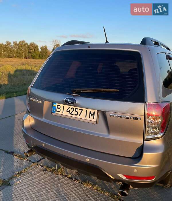Внедорожник / Кроссовер Subaru Forester 2008 в Гадяче