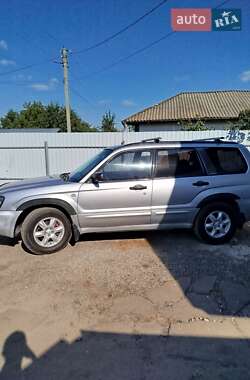 Внедорожник / Кроссовер Subaru Forester 2004 в Нежине