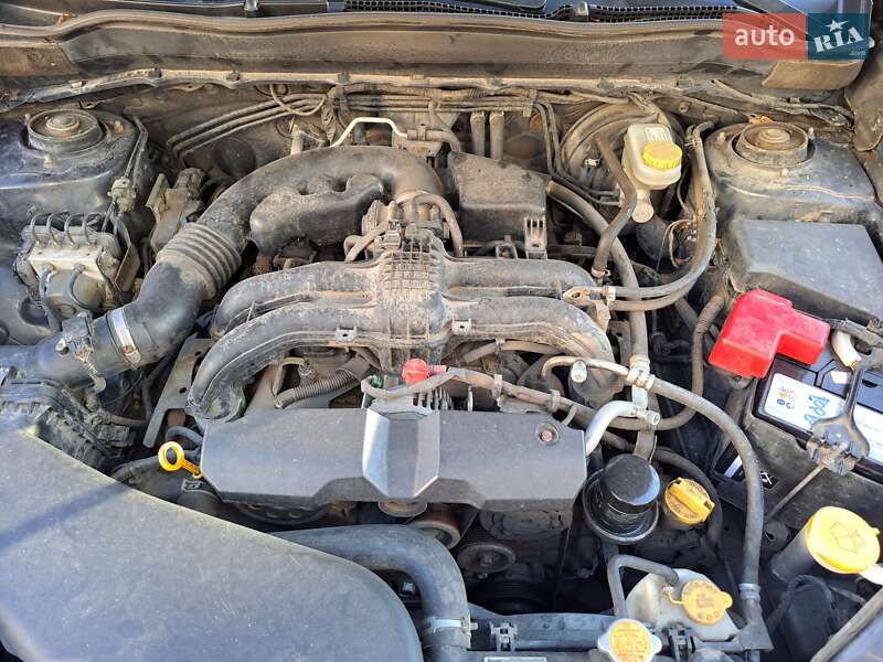 Позашляховик / Кросовер Subaru Forester 2017 в Бучі