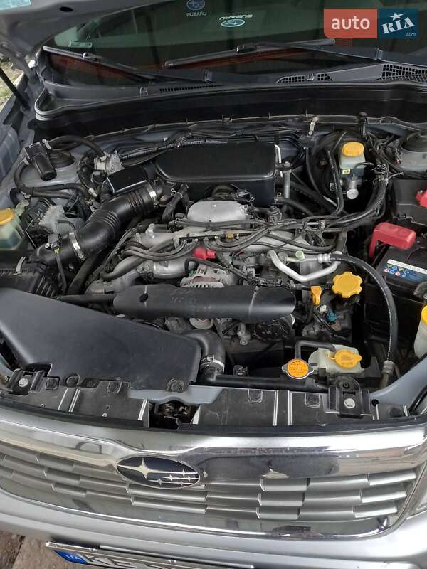 Внедорожник / Кроссовер Subaru Forester 2009 в Криничках фото 7 Внедорожник / Кроссовер Subaru Forester 2009 в Криничках