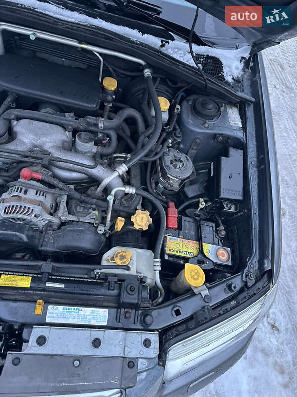 Внедорожник / Кроссовер Subaru Forester 2006 в Киеве