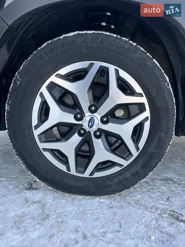 Внедорожник / Кроссовер Subaru Forester 2024 в Белогородке фото 7 Внедорожник / Кроссовер Subaru Forester 2024 в Белогородке