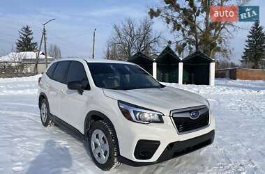 Позашляховик / Кросовер Subaru Forester 2020 в Овручі