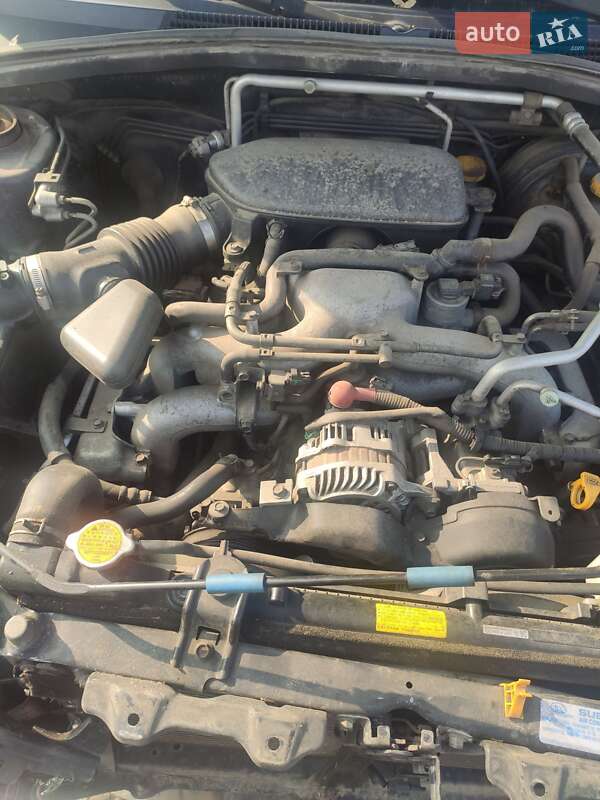 Внедорожник / Кроссовер Subaru Forester 2007 в Сквире