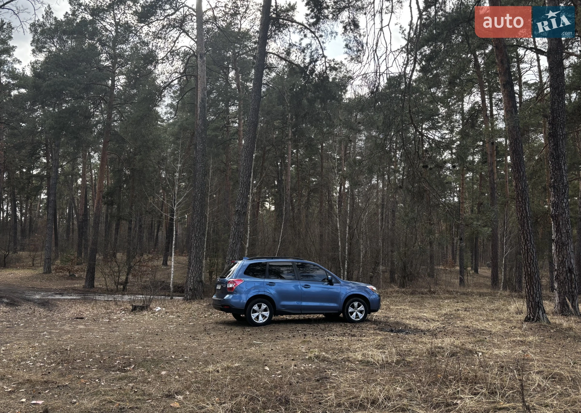 2015 Subaru Forester - мініатюра 7
