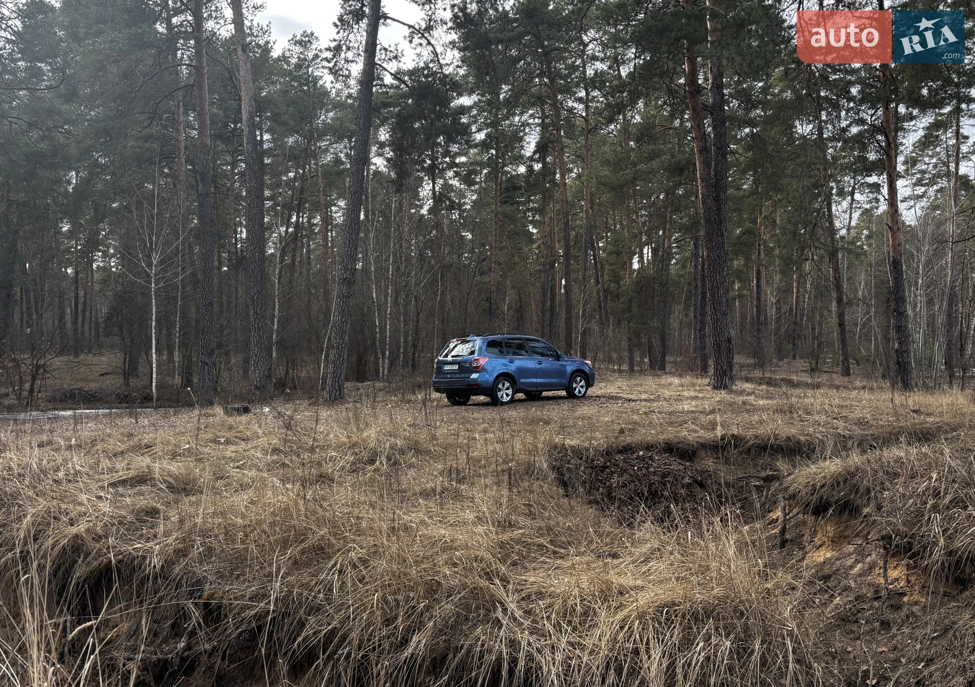 2015 Subaru Forester - мініатюра 6