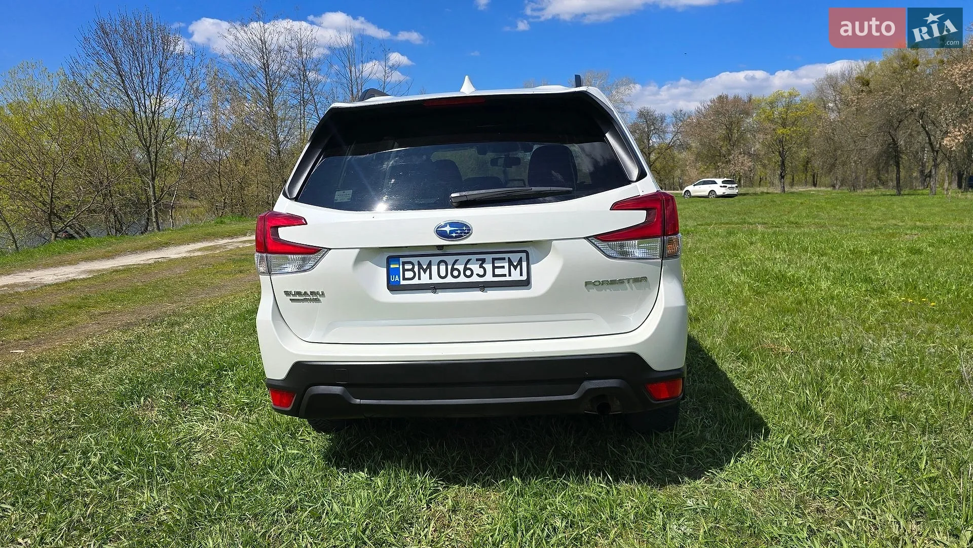 2019 Subaru Forester - мініатюра 13