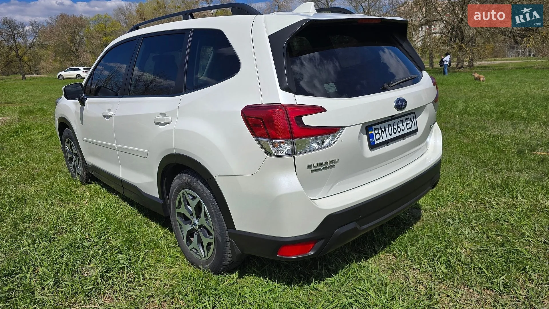 2019 Subaru Forester - мініатюра 14