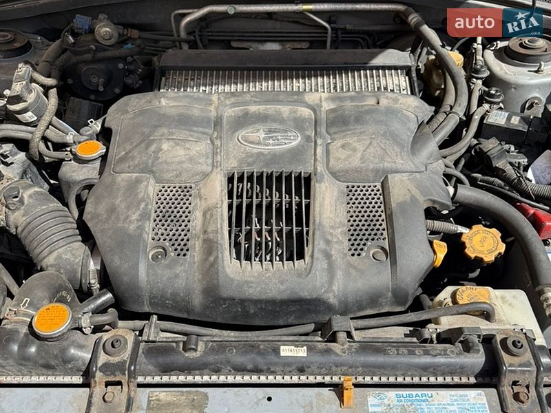 Внедорожник / Кроссовер Subaru Forester 2005 в Киеве