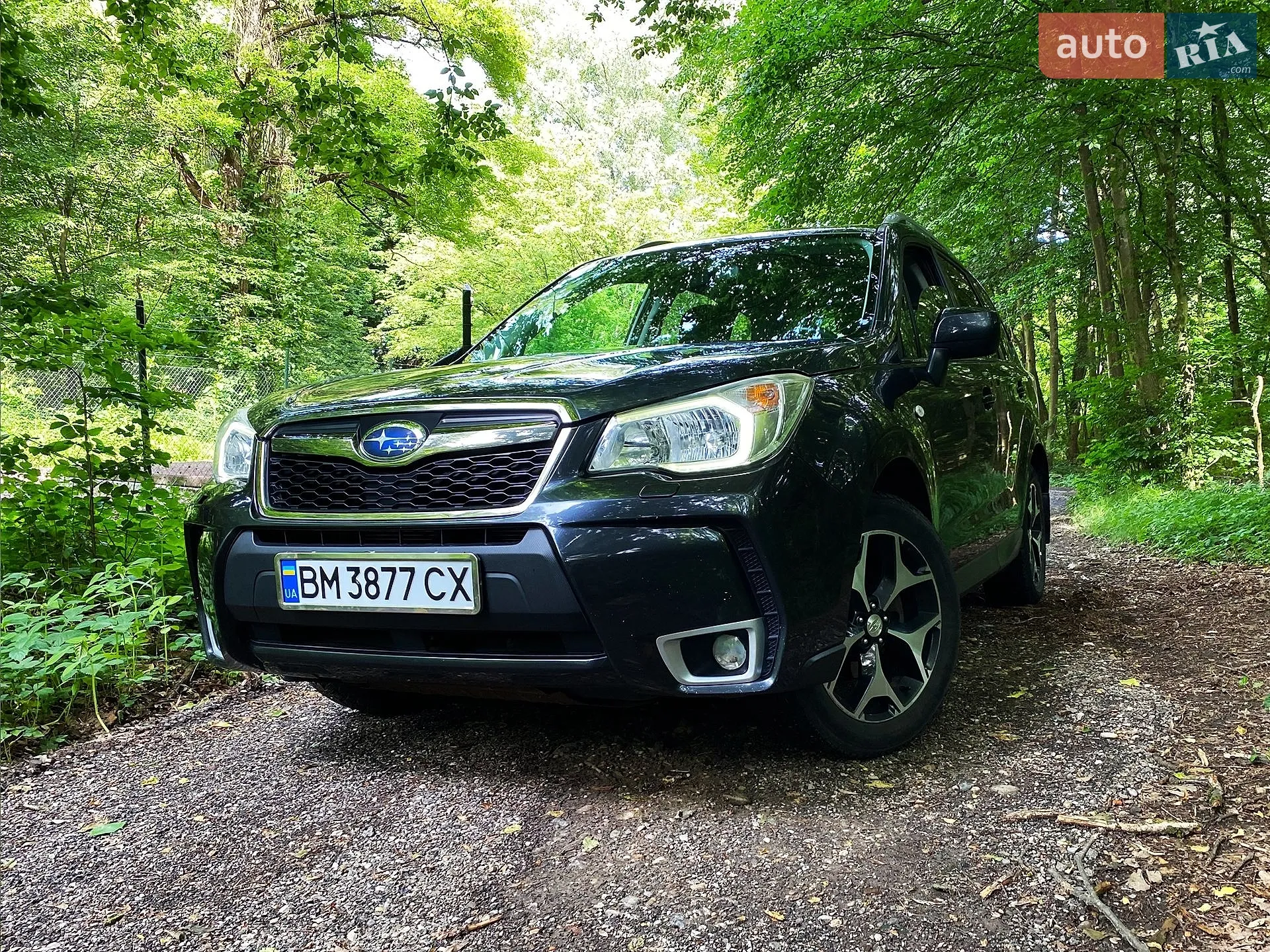 2013 Subaru Forester - мініатюра 4