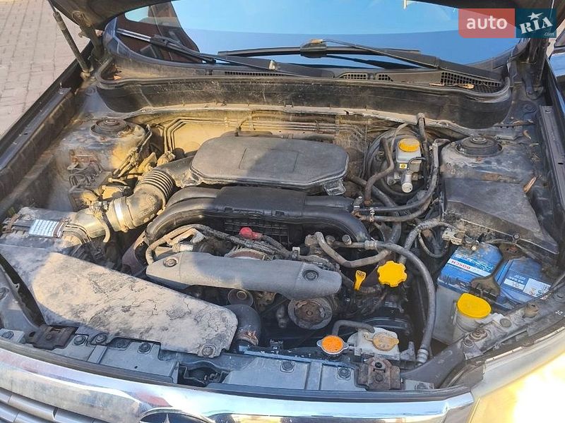 Позашляховик / Кросовер Subaru Forester 2010 в Києві фото 13 Позашляховик / Кросовер Subaru Forester 2010 в Києві