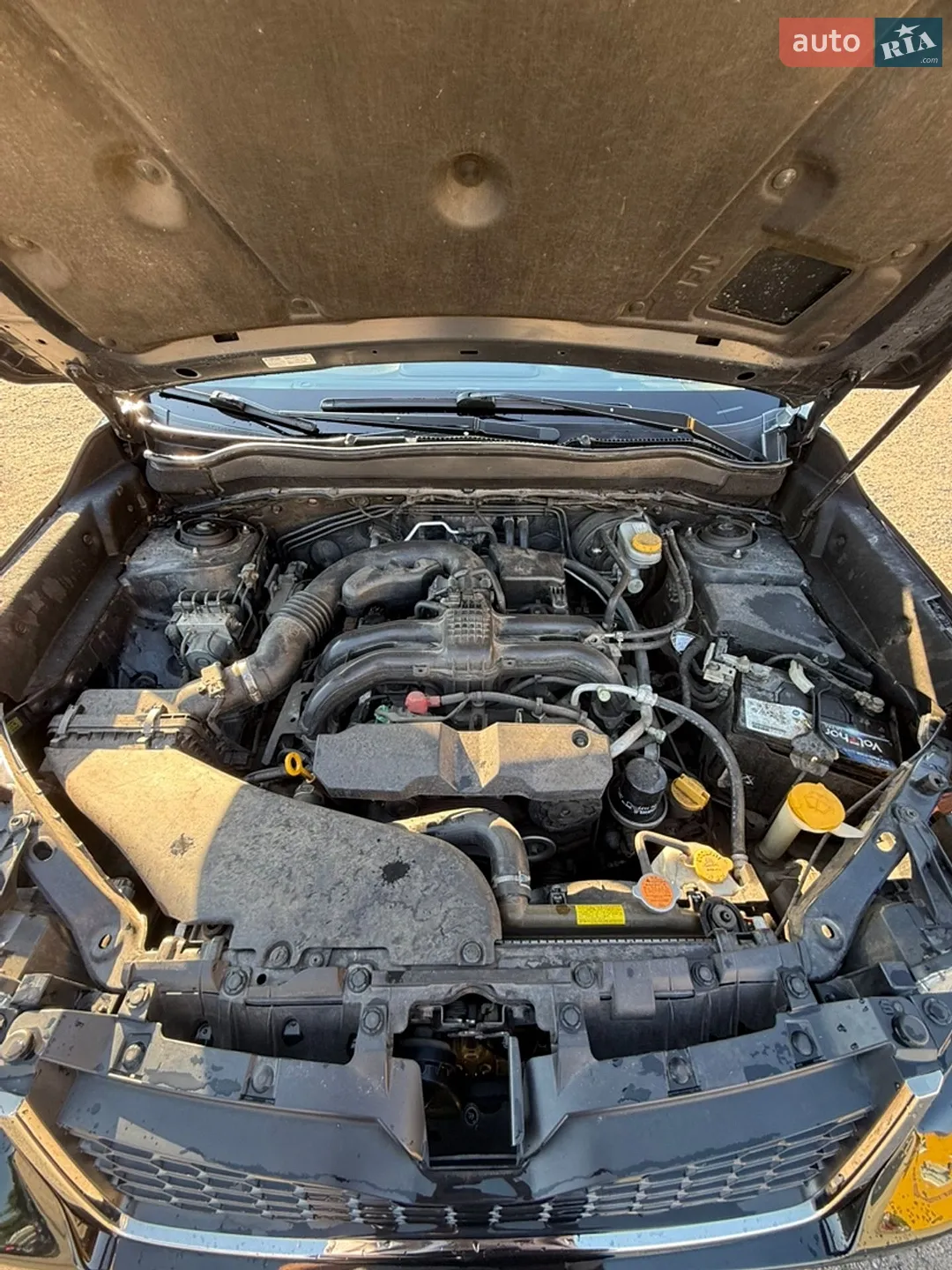 2014 Subaru Forester - мініатюра 14