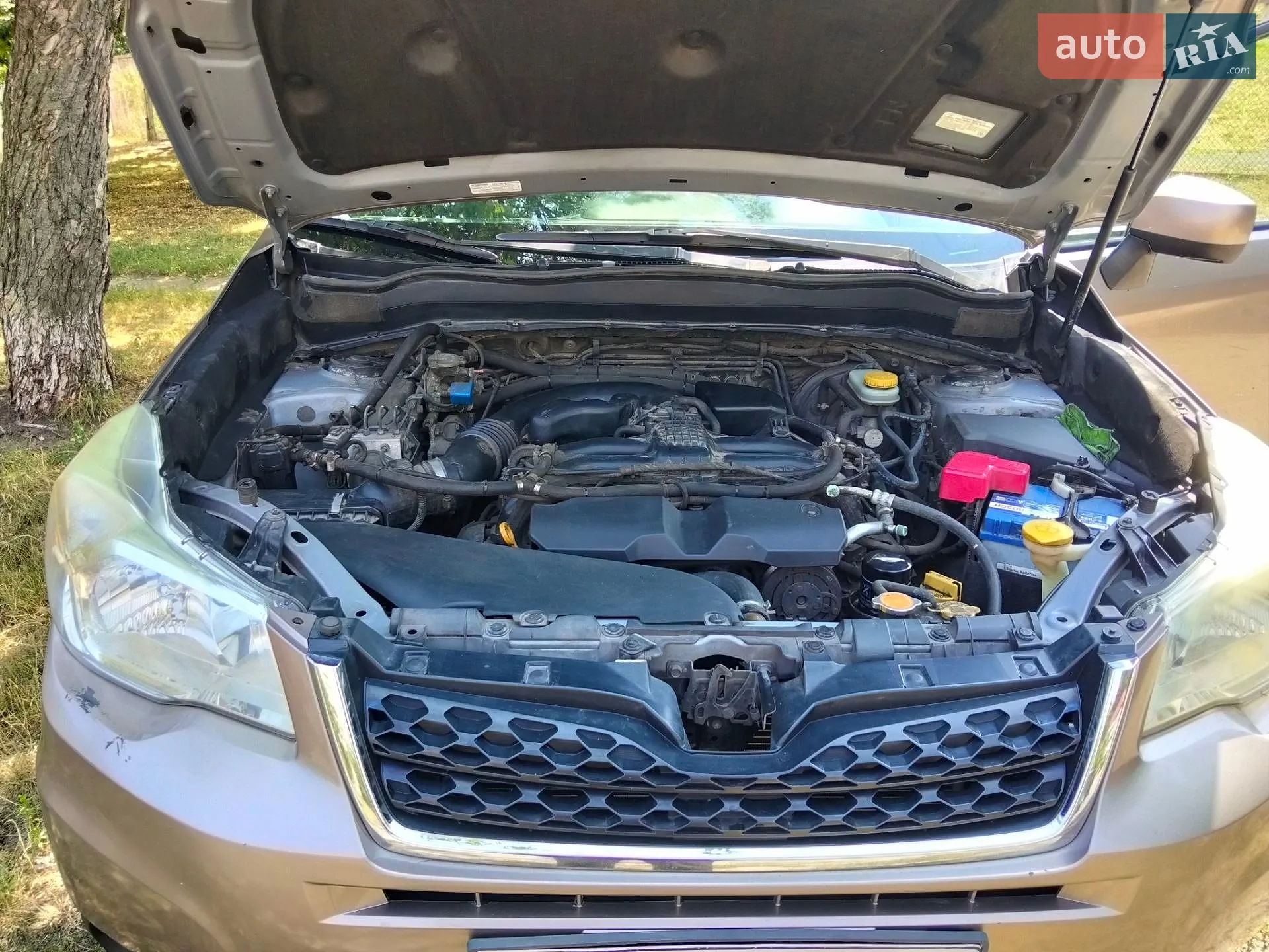 2014 Subaru Forester - мініатюра 8