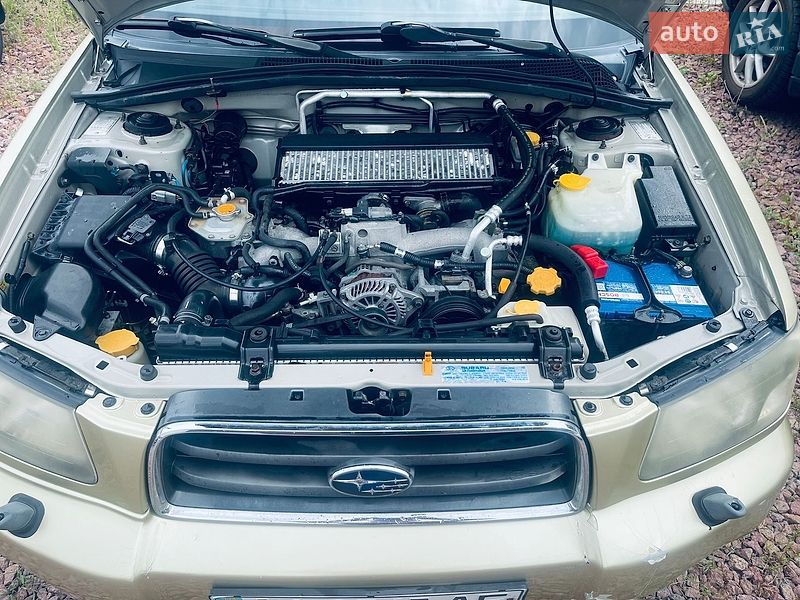 Внедорожник / Кроссовер Subaru Forester 2005 в Киеве фото 5 Внедорожник / Кроссовер Subaru Forester 2005 в Киеве