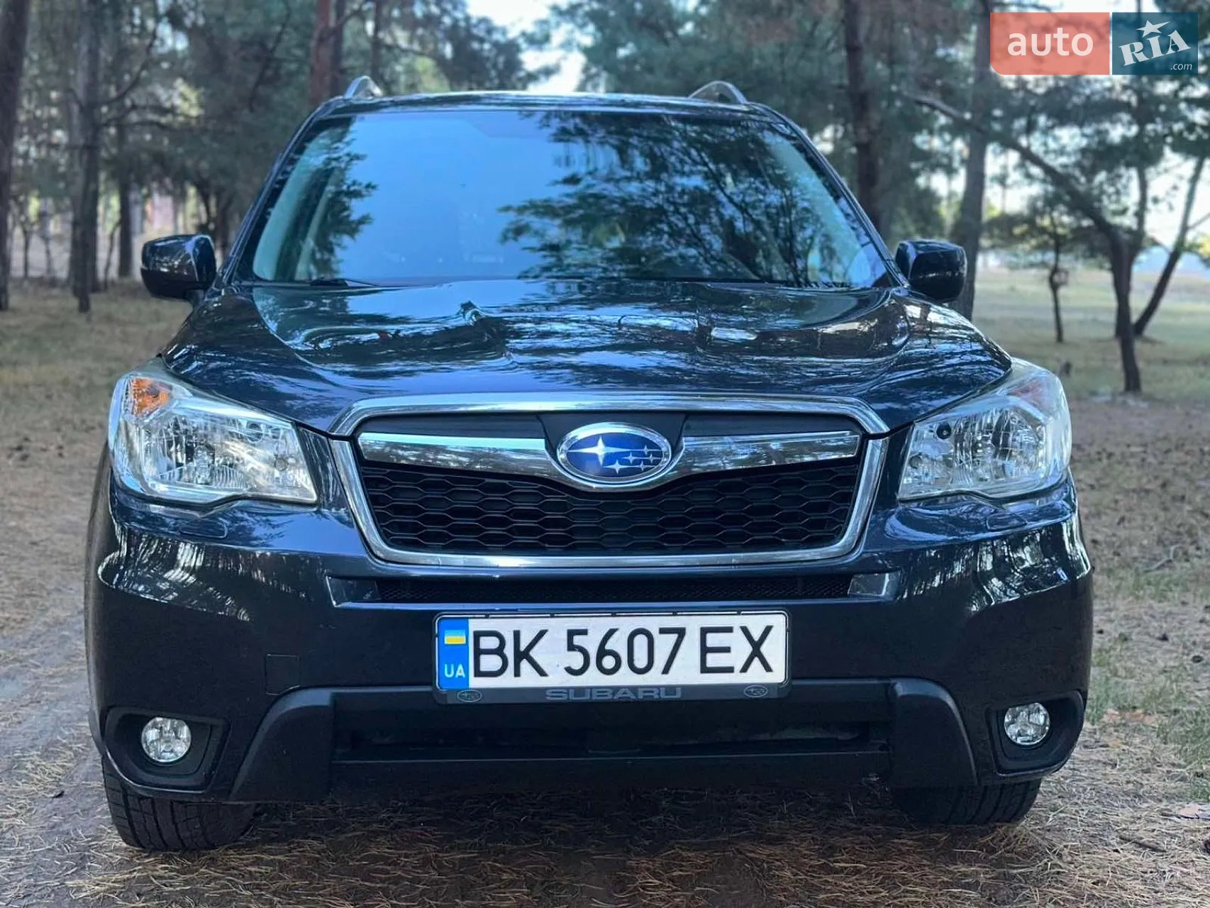 2013 Subaru Forester - мініатюра 2