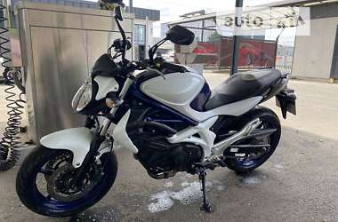 Мотоцикл Классик Suzuki Gladius 650 2010 в Белой Церкви