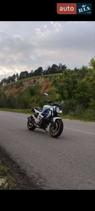 Suzuki Gladius 650 2009