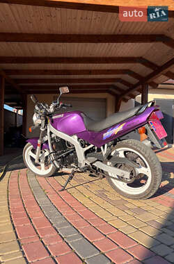 Мотоцикл Без обтікачів (Naked bike) Suzuki GS 500E 1994 в Луцьку