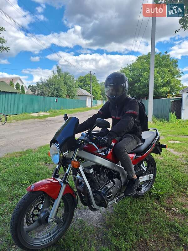 Suzuki GS 500E 1999 Suzuki GS 500E 1999