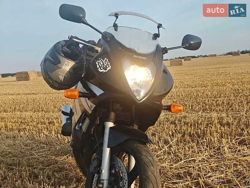 Suzuki GS 500F 2006