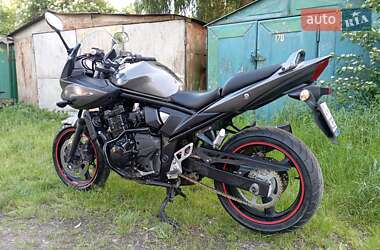 Мотоцикл Без обтекателей (Naked bike) Suzuki GSF 650 Bandit 2010 в 
