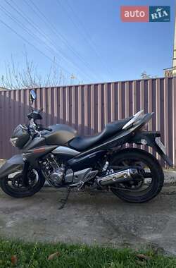 Мотоцикл Без обтекателей (Naked bike) Suzuki GSR 250 2015 в Ладыжине