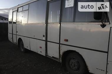 Городской автобус TATA A079 2008 в Дрогобыче