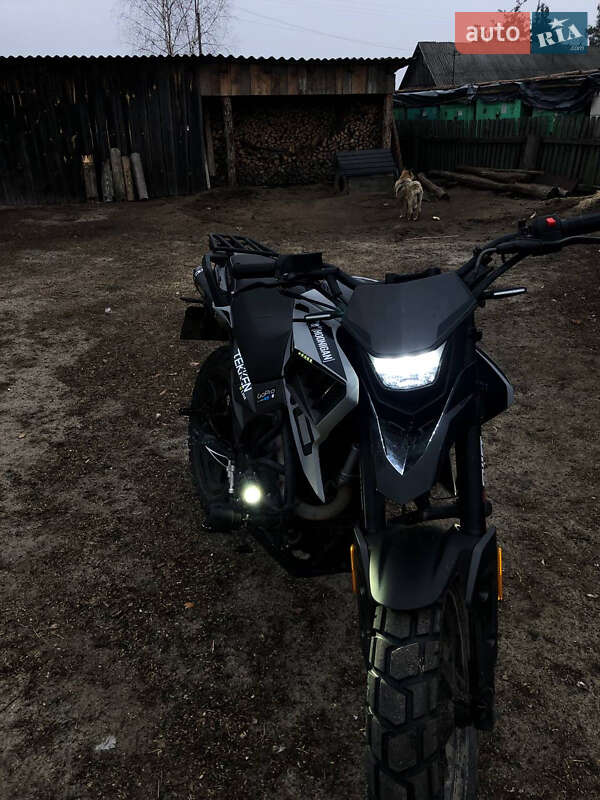Мотоцикл Без обтекателей (Naked bike) Tekken 250 2024 в 