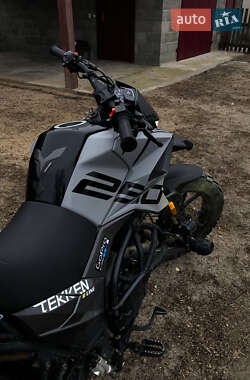 Мотоцикл Без обтекателей (Naked bike) Tekken 250 2024 в 