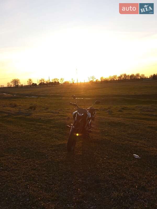 Мотоцикл Внедорожный (Enduro) Tekken 250 2024 в Степани