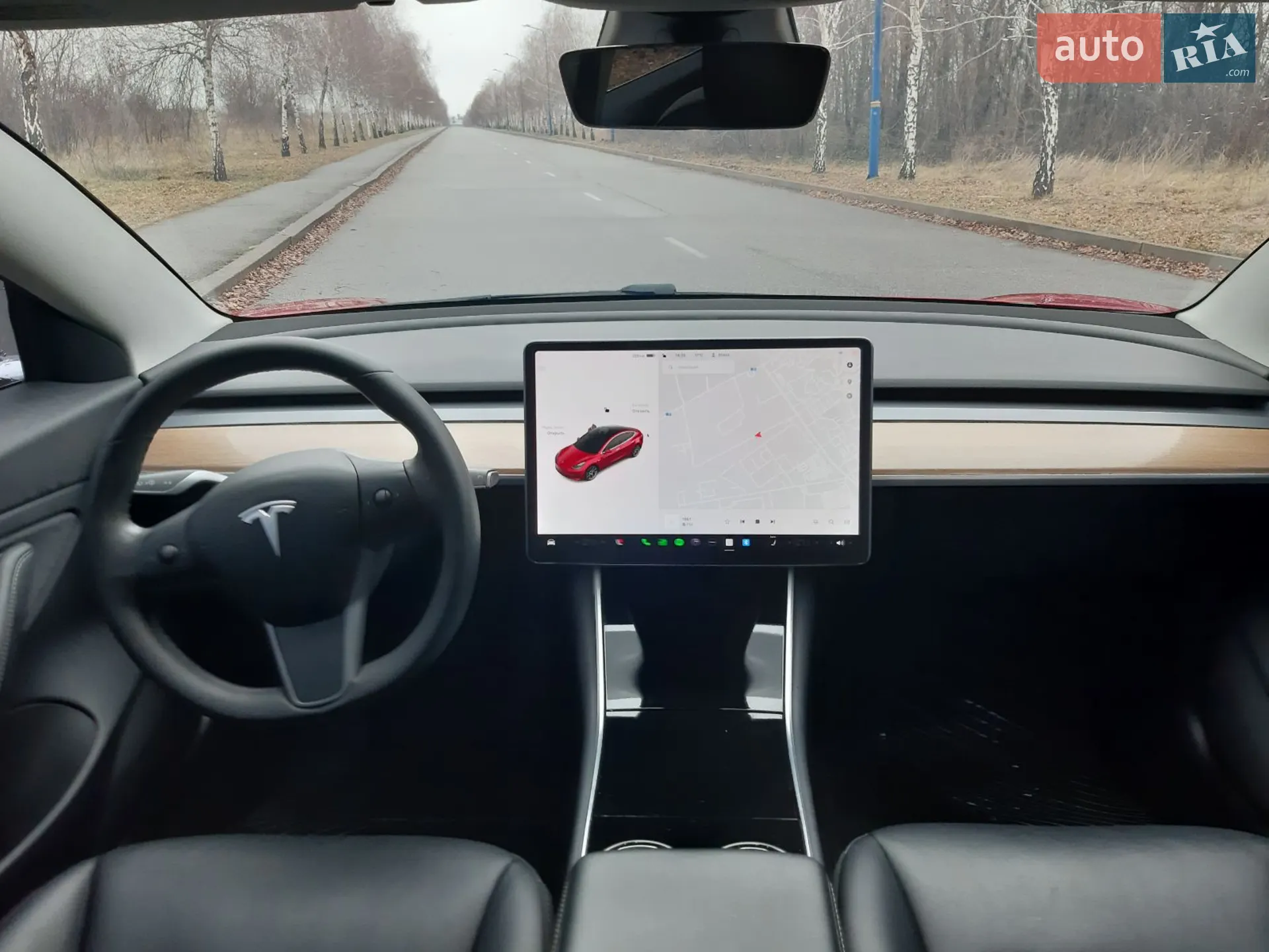 2019 Tesla Model 3 - мініатюра 28