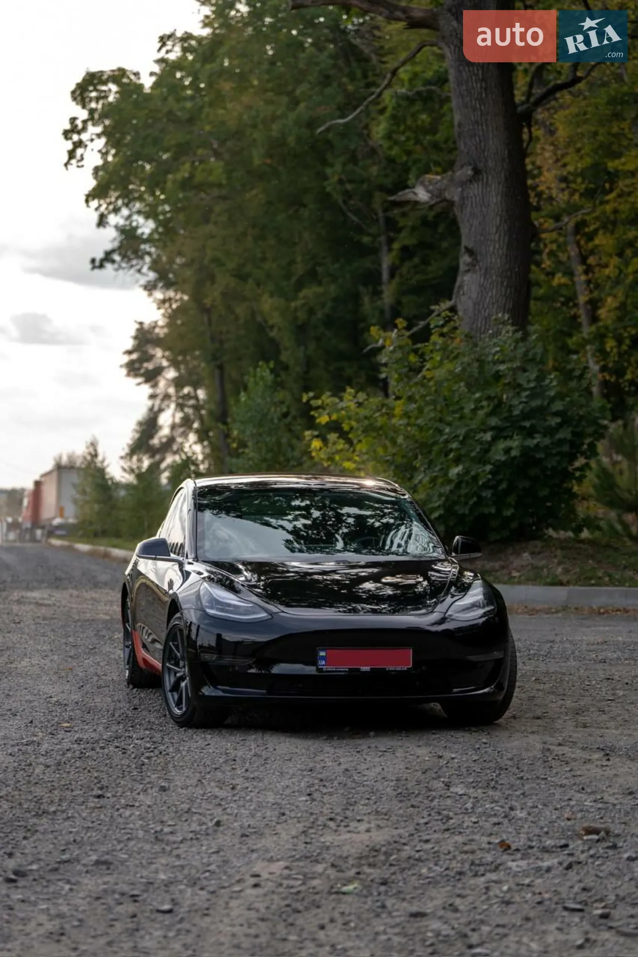 2018 Tesla Model 3 - мініатюра 8