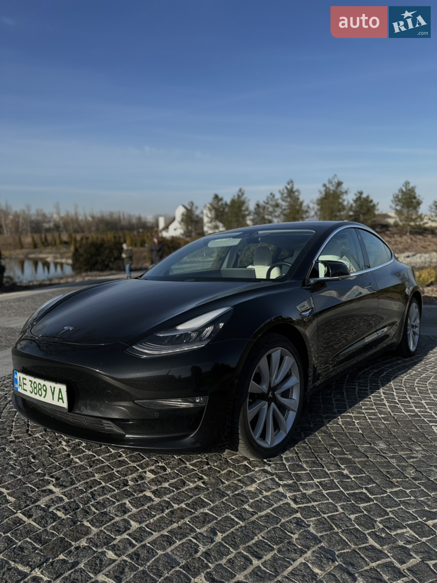 2019 Tesla Model 3 - мініатюра 2