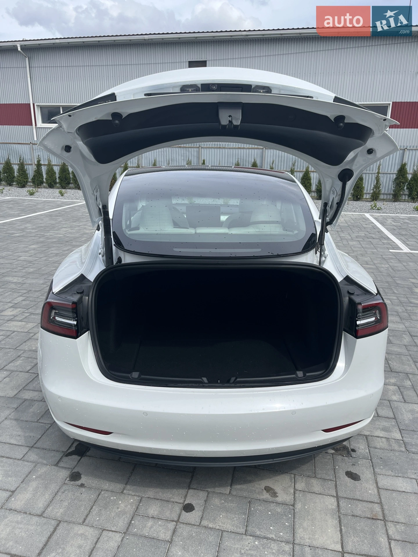 2021 Tesla Model 3 - мініатюра 20