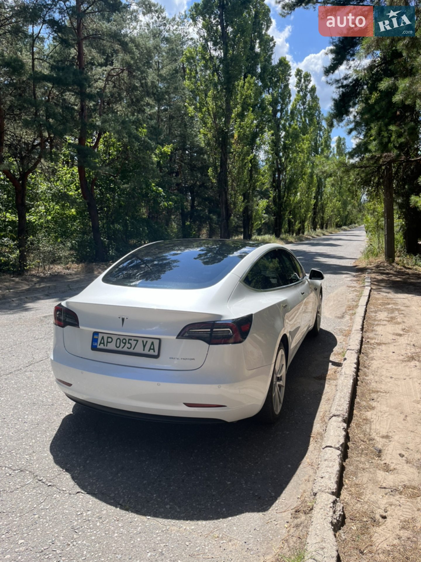 2019 Tesla Model 3 - мініатюра 5