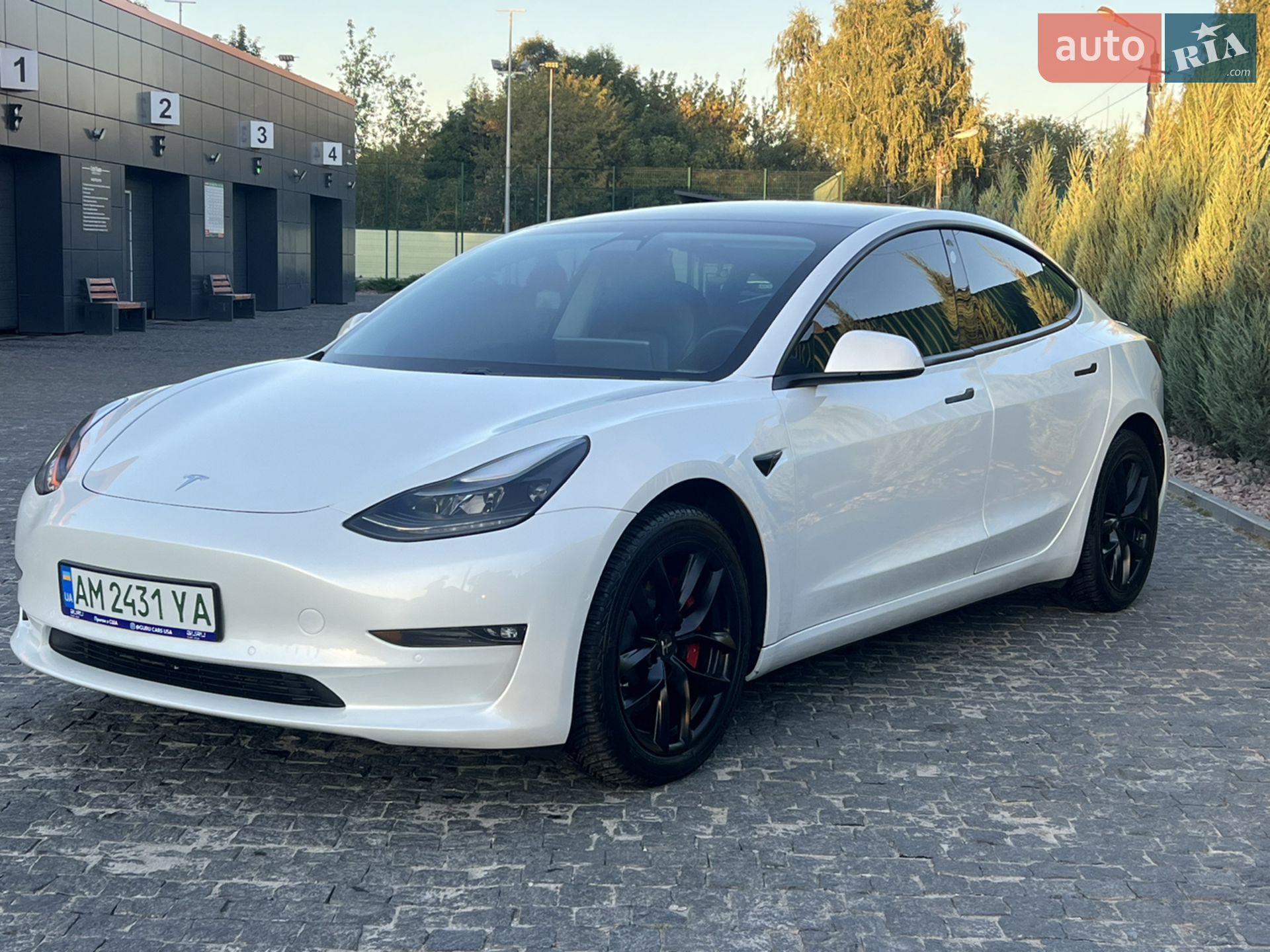 2020 Tesla Model 3 - мініатюра 2