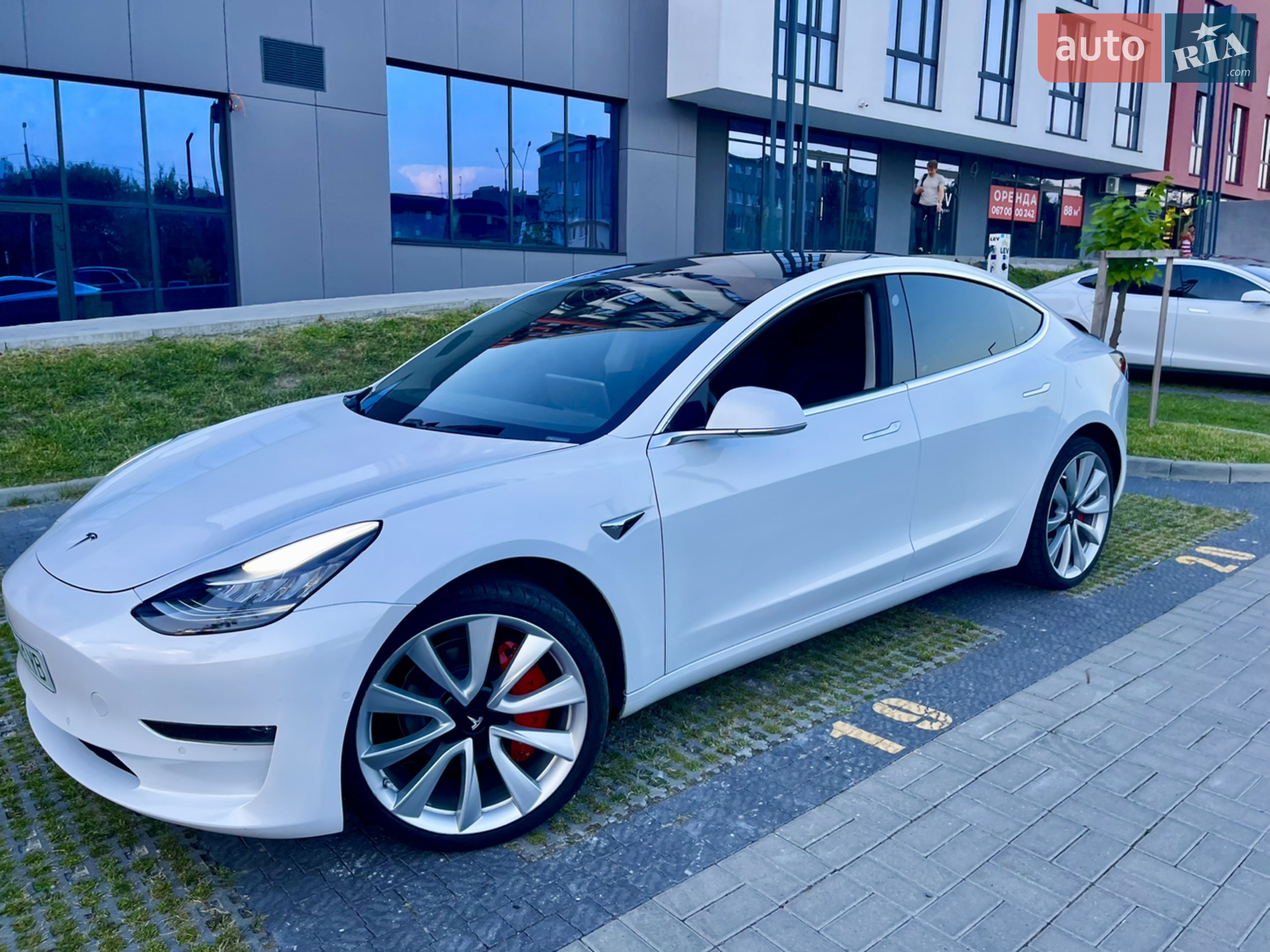 2019 Tesla Model 3 - фото 1