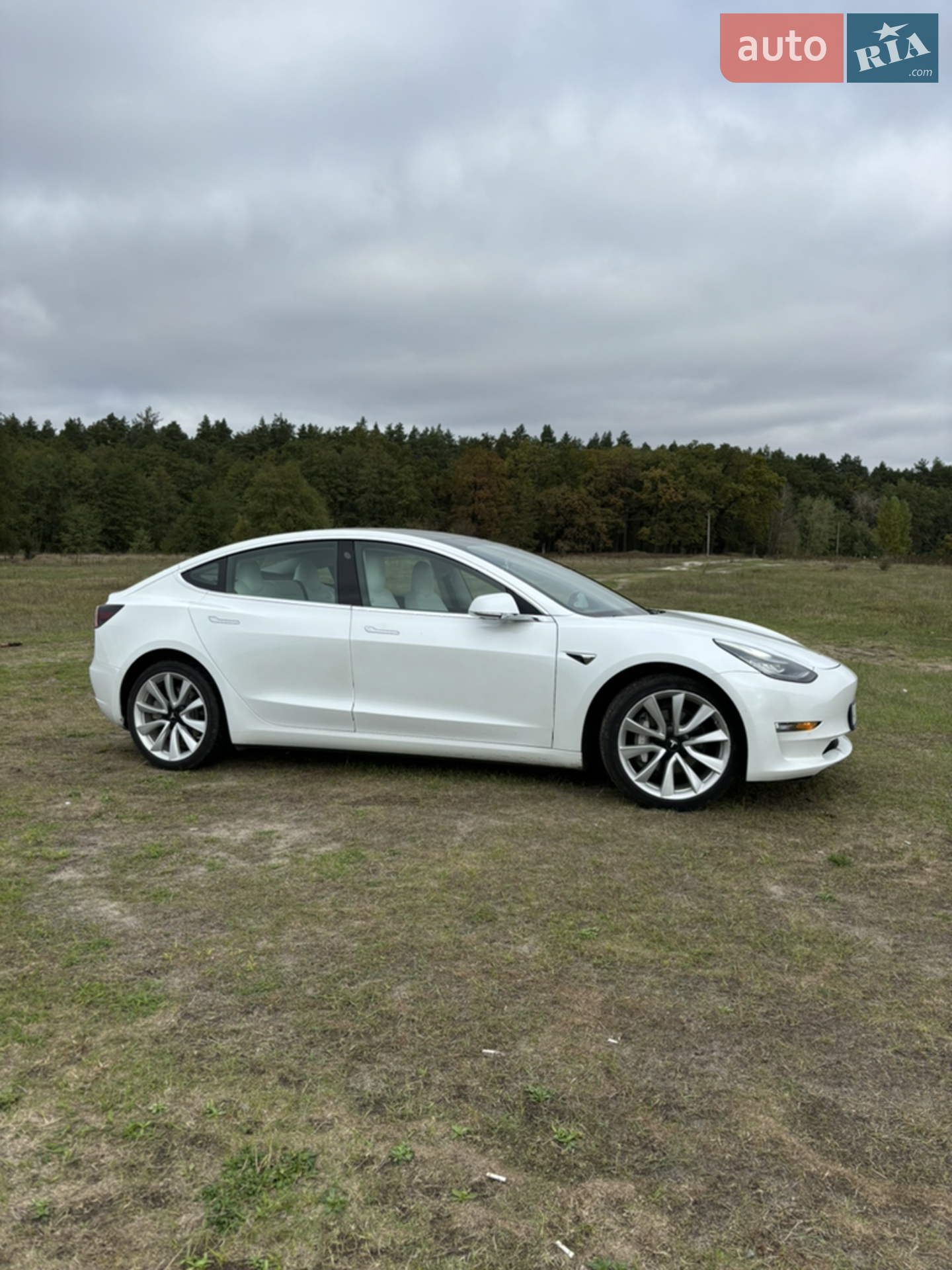 2019 Tesla Model 3 - мініатюра 10
