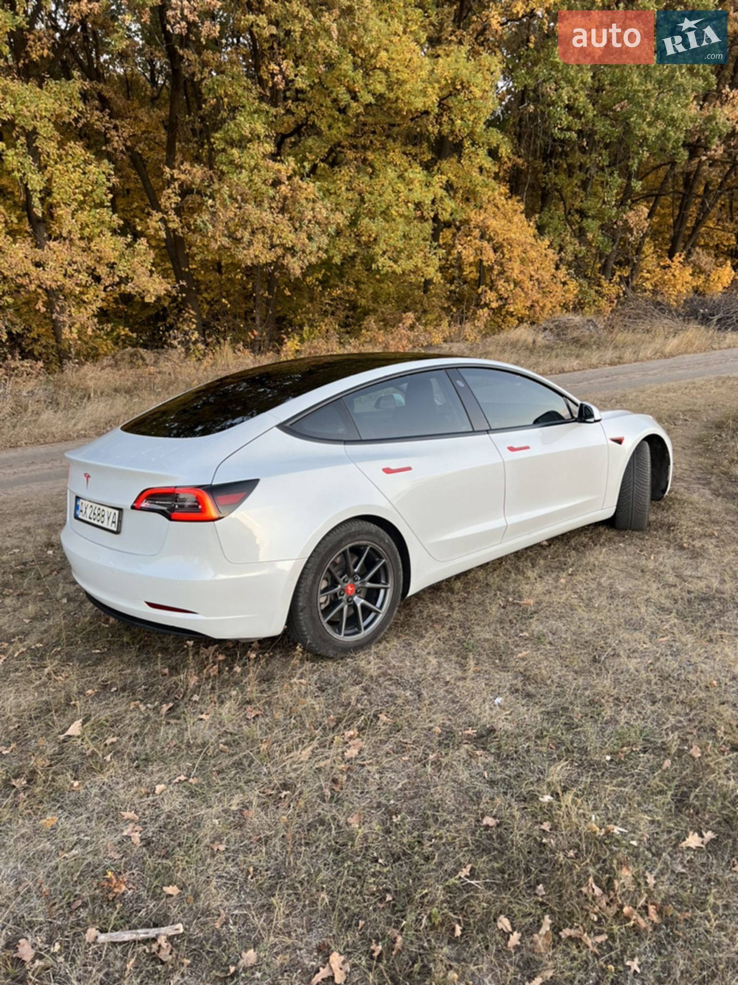 2020 Tesla Model 3 - мініатюра 6