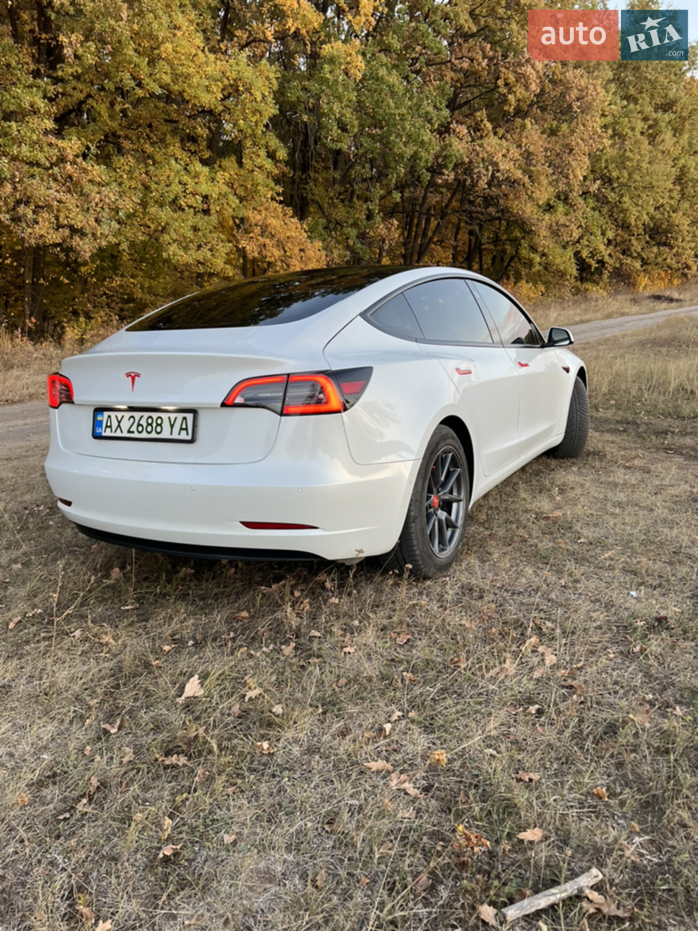 2020 Tesla Model 3 - мініатюра 9